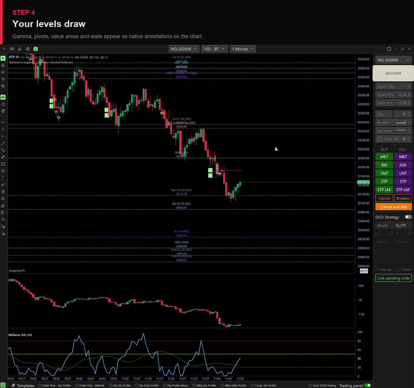 Step 4 — levels draw on the chart